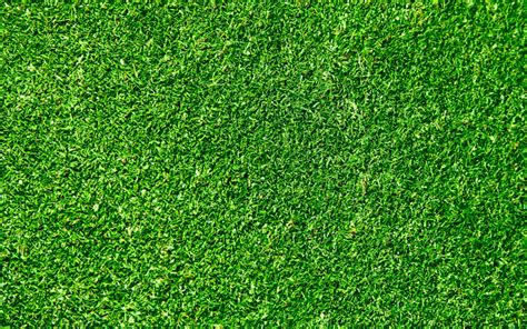 Download wallpapers green grass texture, 4k, green backgrounds, grass ...