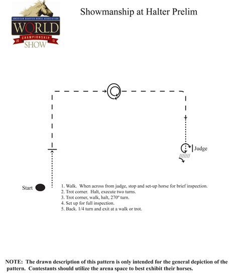 Try this Showmanship at Halter pattern from the 2013 Adequan Select ...