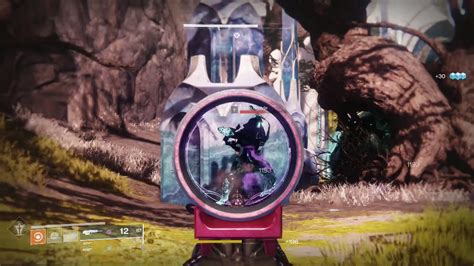 Destiny 2 Forsaken Find the Portal Gardens of Esila Broken Courier - YouTube