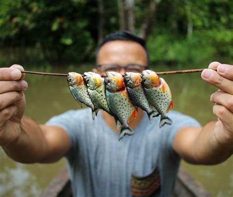 Caught some piranha on the Amazon river and also caught one of my favorite photos to date ...