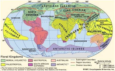 Biogeographic region - The distribution boundaries of flora and fauna ...