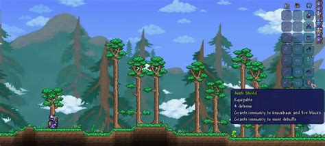 How to Get the Ankh Shield in Terraria