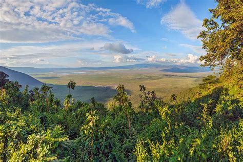 Ngorongoro Conservation Area - The Expert Holidays