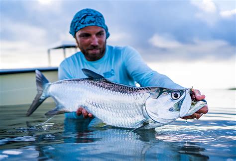 5 Tips for Landing Your First Tarpon - Flylords Mag