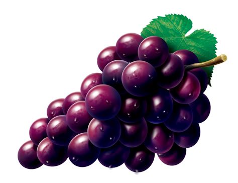 Grape Png