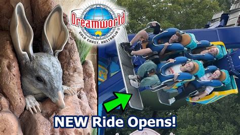 Dreamworld Gold Coast | Serpent Slayer OPENS, NEW Animal Exhibits & more! - YouTube