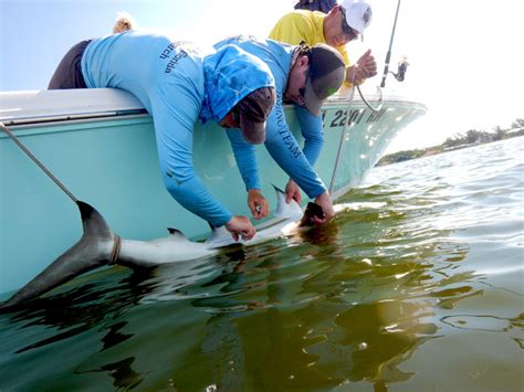 Pritzker Marine Biology Research Center - New College of Florida