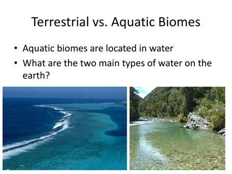 PPT - Aquatic Biomes PowerPoint Presentation - ID:2335727