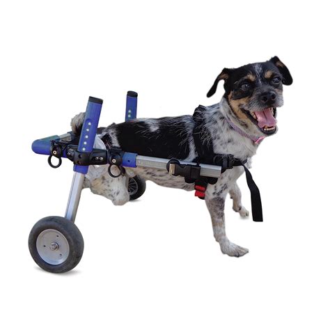 Walkin' Wheels Dog Wheelchair - Vet Approved - Small Dogs 11-25 Pounds - Walmart.com