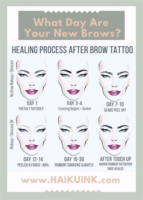 Semi Permanent Makeup Eyebrows Healing | Saubhaya Makeup