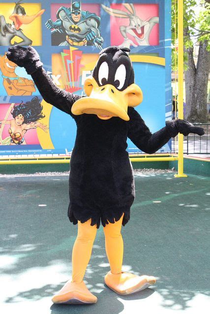 Funny Daffy Duck Costumes | Daffy duck, Duck costumes, Looney tunes wallpaper