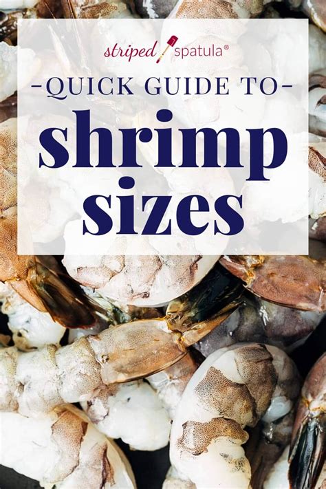 Shrimp Sizes and Counts Per Pound - Striped Spatula