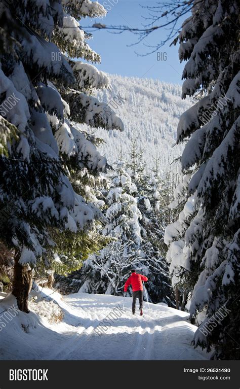 Cross-country Skiing: Image & Photo (Free Trial) | Bigstock