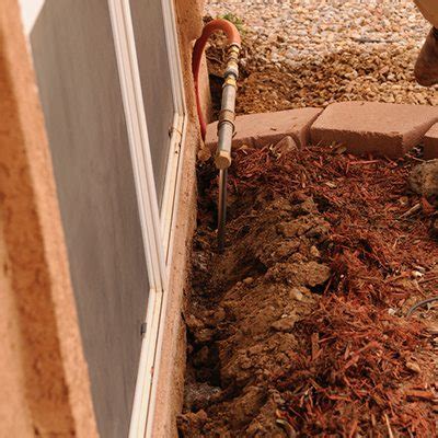 Drywood Termites - Preventive Pest Control