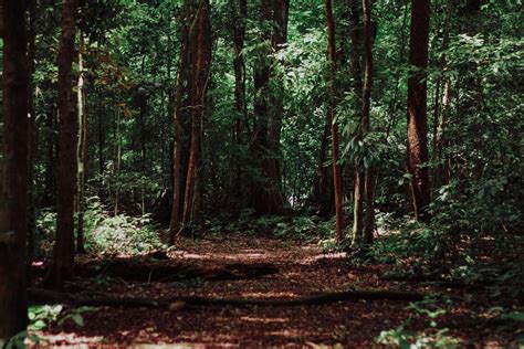 Seis poemas | Maurício Vieira — InComunidade