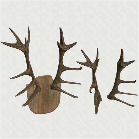 Antlers Free 3D Models download - Free3D