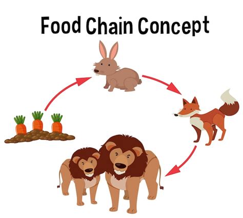 Premium Vector | Science food chain concept