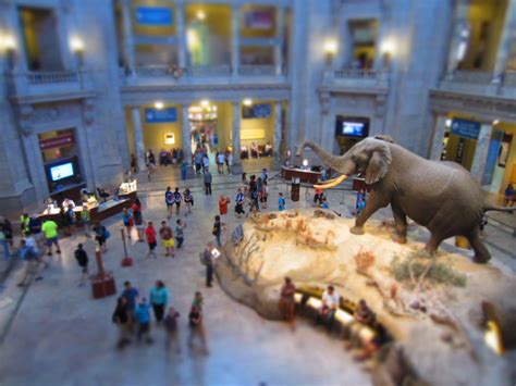 11+ Science and Tech Museums You Can Tour Virtually | IE