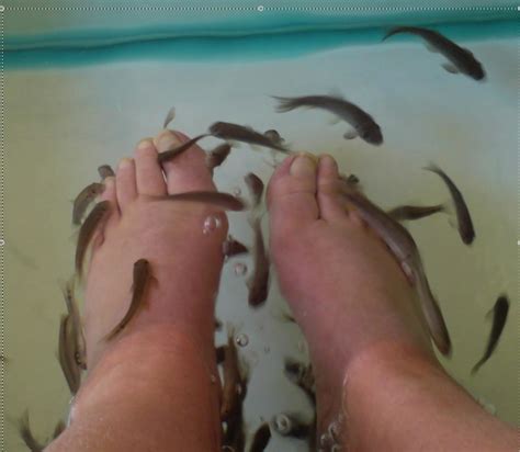 mountainear: Fish. Feet. Fun?