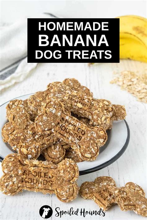 Homemade Banana Dog Treats - Spoiled Hounds