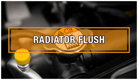 Radiator flush: The last guide you’ll ever need [with top 6 items review 2023] - Gmund Cars