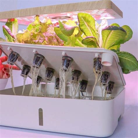 China Customized 12-planter Smart Garden With LED Manufacturers, Factory - Free Sample - YIBIYUAN