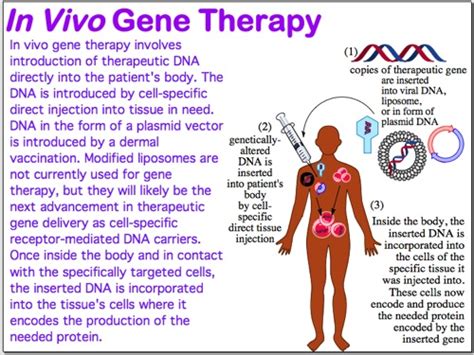 Difference Between Somatic and Germline Gene Therapy | Compare the Difference Between Similar Terms