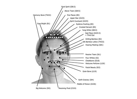 How to Apply Pressure to Acupressure Points - EWHAI Massage therapy ...