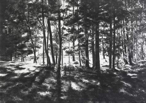 Charcoal Radiance in April Gornik's Landscape Drawings | Artists Network