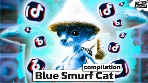 WATCH: Blue Smurf Cat Meme Viral Video, Blue Smurf Cat Meme Explanation ...