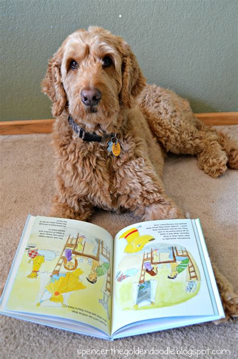 Spencer the Goldendoodle: Pet Memorial Book, DIY, Paying it Forward