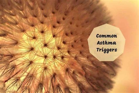 common asthma triggers - Ayurvedum