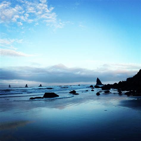 Shoreline before sunrise at Olympic National Park image - Free stock ...