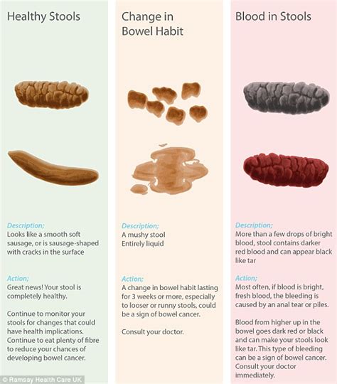 Poo chart reveals what's normal and what could be a warning sign of ...