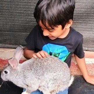 A Memorable One-Day Trip to Prani, Bangalore with Your Pet Dog and Kids