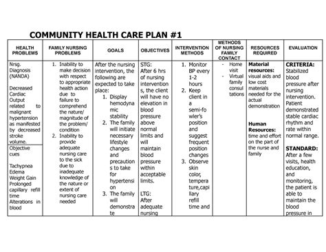 Community Health CARE PLAN - COMMUNITY HEALTH CARE PLAN HEALTH PROBLEMS FAMILY NURSING PROBLEMS ...