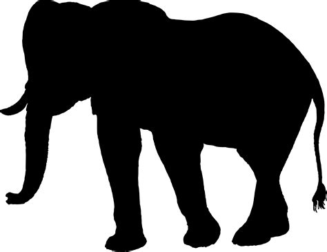 African elephant Elephantidae Silhouette Clip art - Silhouette png ...