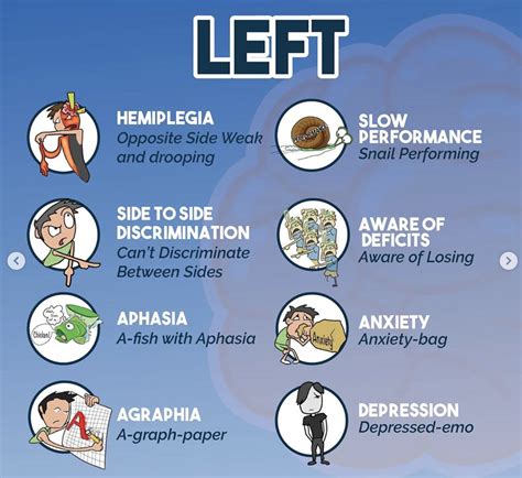 Left sided conditions from a stroke. #medicine #nursing #rn #nclex #physicianassistant #pa # ...