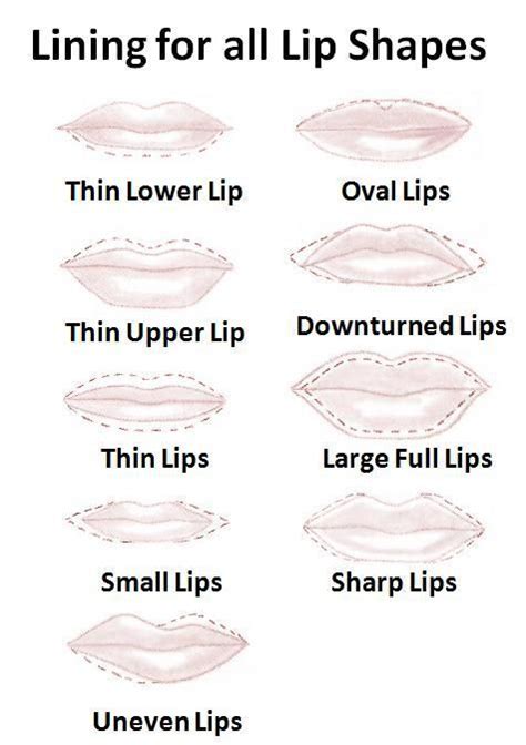 Lip liner depending to your lips shape | Lip shapes, Lip makeup ...