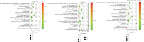 Serum levels of proinflammatory cytokines. (a) Differentially expressed... | Download Scientific ...