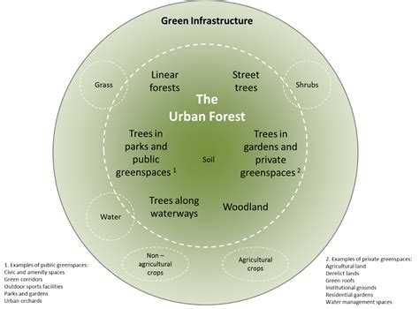 Are all urban forests equally beneficial? | Institute of Chartered ...