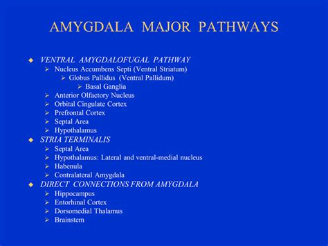 Limbic System: Amygdala (Section 4, Chapter 6) Neuroscience Online: An ...