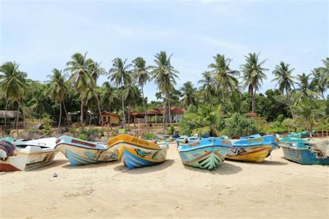 Surfing in Arugam Bay: A Practical Guide to Surf Central in East Sri Lanka | Yoga, Wine & Travel