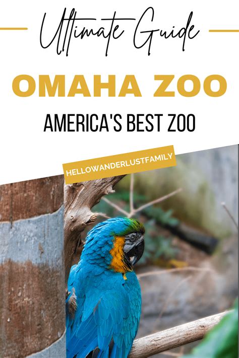 Get Wild in Omaha: A Guide to America’s Best Zoo – Omaha Zoo