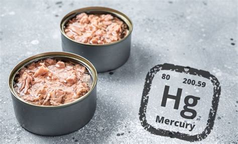 Mercury in tuna fish, new test by Consumer Reports