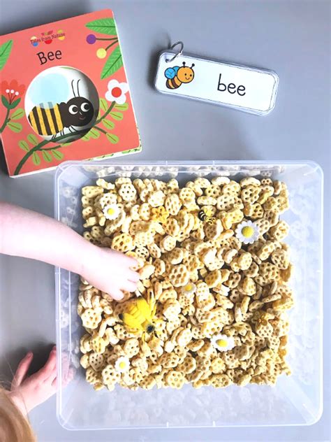 Honey Bee Pollinator Sensory Bin - Life Anchored