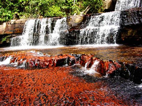 Gran Sabana tour in Venezuela with Kamadac