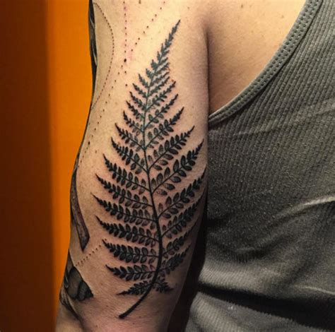 40+ Beautiful Fern Frond Tattoo Designs - TattooBlend