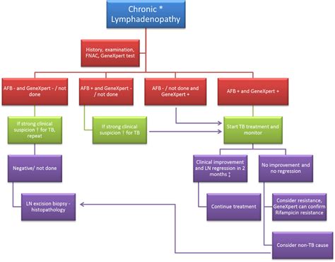 Frontiers | Lymphadenopathy: Differentiation between Tuberculosis and Other Non-Tuberculosis ...