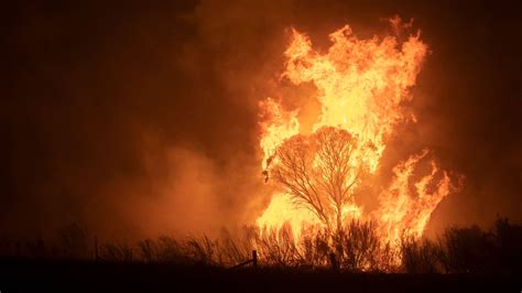 Australia bushfires: 'Too late to leave' warning as out of control flames near capital Canberra ...